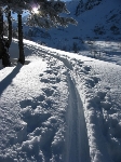 /Ski/2008/Images/1525/mini-Photo FRe 003Icon.jpg
